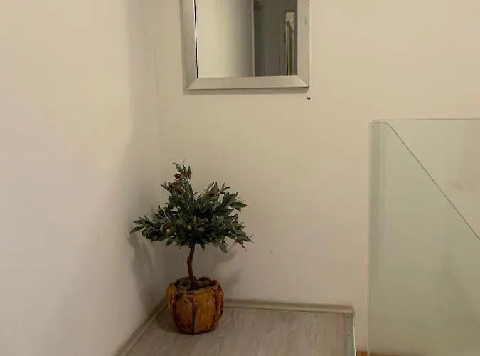 Lili