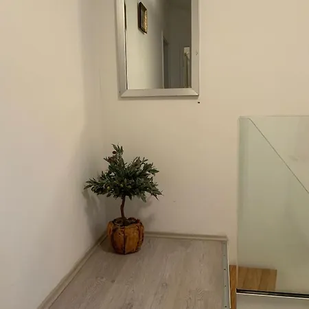 Lili